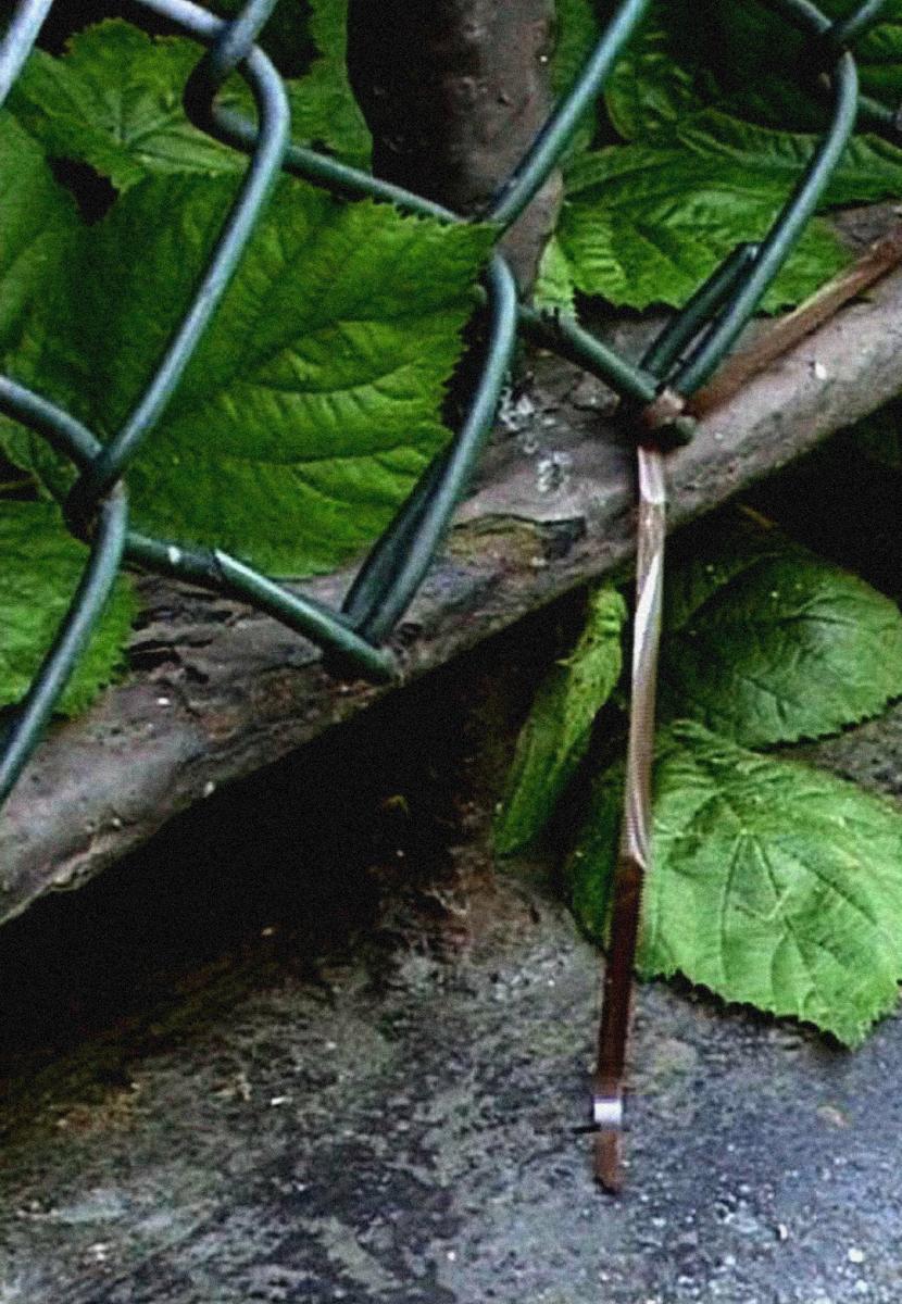 Image gallery for Lost Sound FilmAffinity