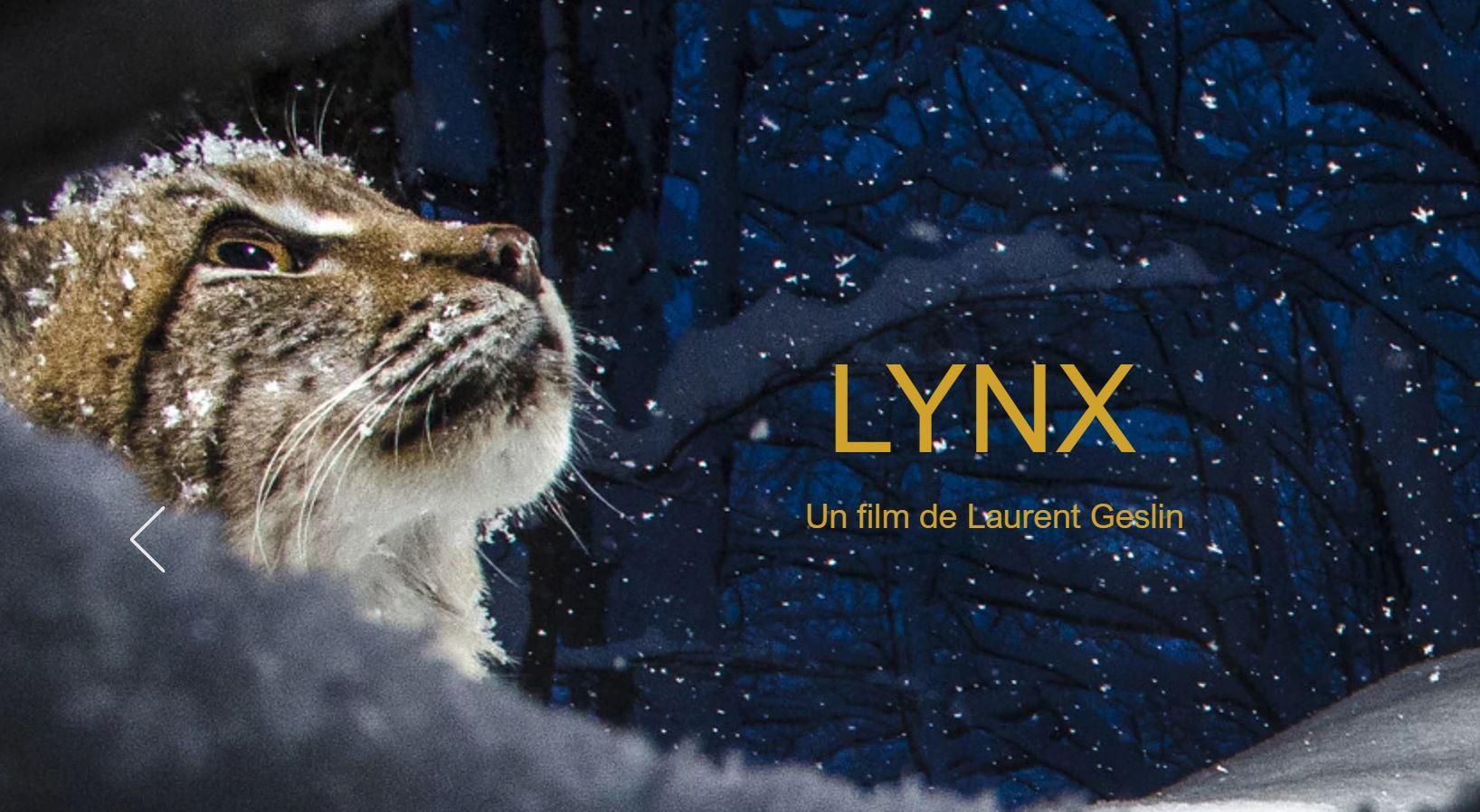 دانلود زیرنویس مستند Lynx 2021 – بلو سابتايتل