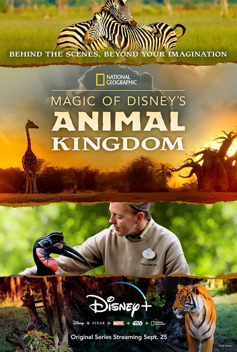 Magic of Disney's Animal Kingdom (TV Series) (2020) - Filmaffinity