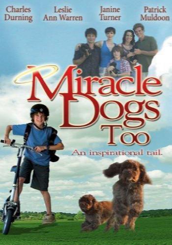 Image gallery for Miracle Dogs Too - FilmAffinity