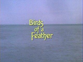 Image gallery for Murder, She Wrote: Birds of a Feather (TV) - FilmAffinity