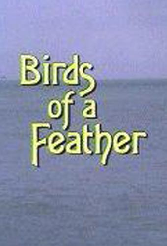 Image gallery for Murder, She Wrote: Birds of a Feather (TV) - FilmAffinity