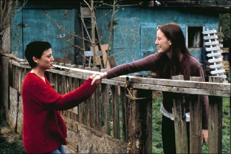My Life Without Me Where To Watch Image gallery for My Life Without Me - FilmAffinity