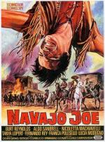 Navajo's Land 