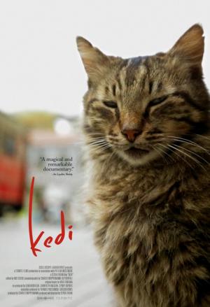 nine lives cat