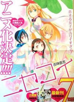 Nisekoi (TV Series 2014–2016) - IMDb