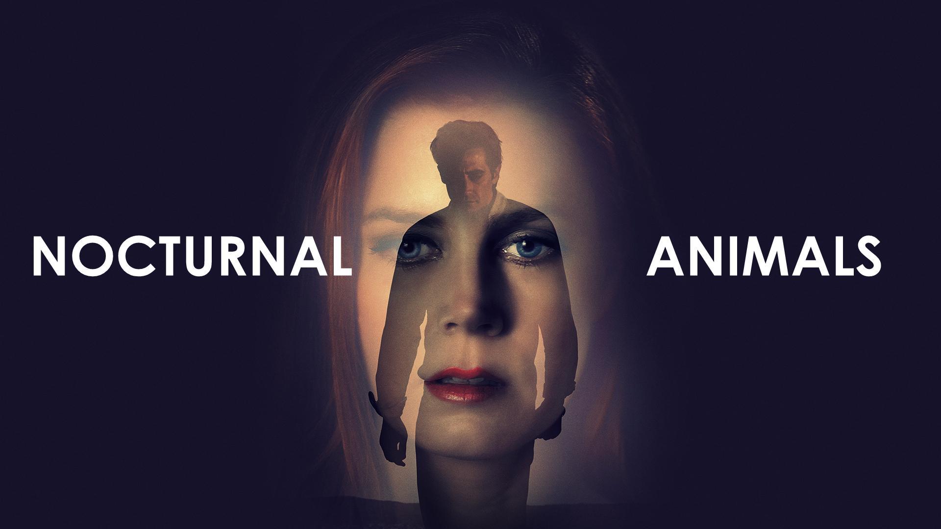 Nocturnal Animals (2016) - Filmaffinity