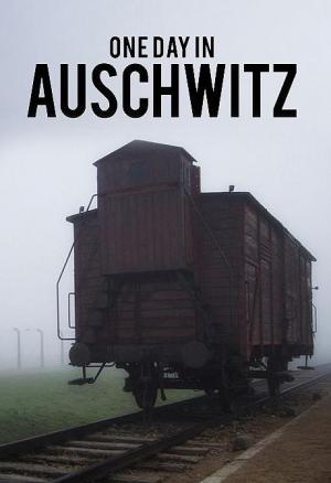 One Day In Auschwitz Documentary Worksheet Answers