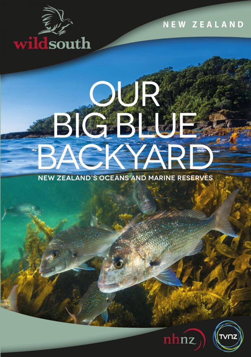 Image gallery for Our Big Blue Backyard (TV Miniseries) FilmAffinity