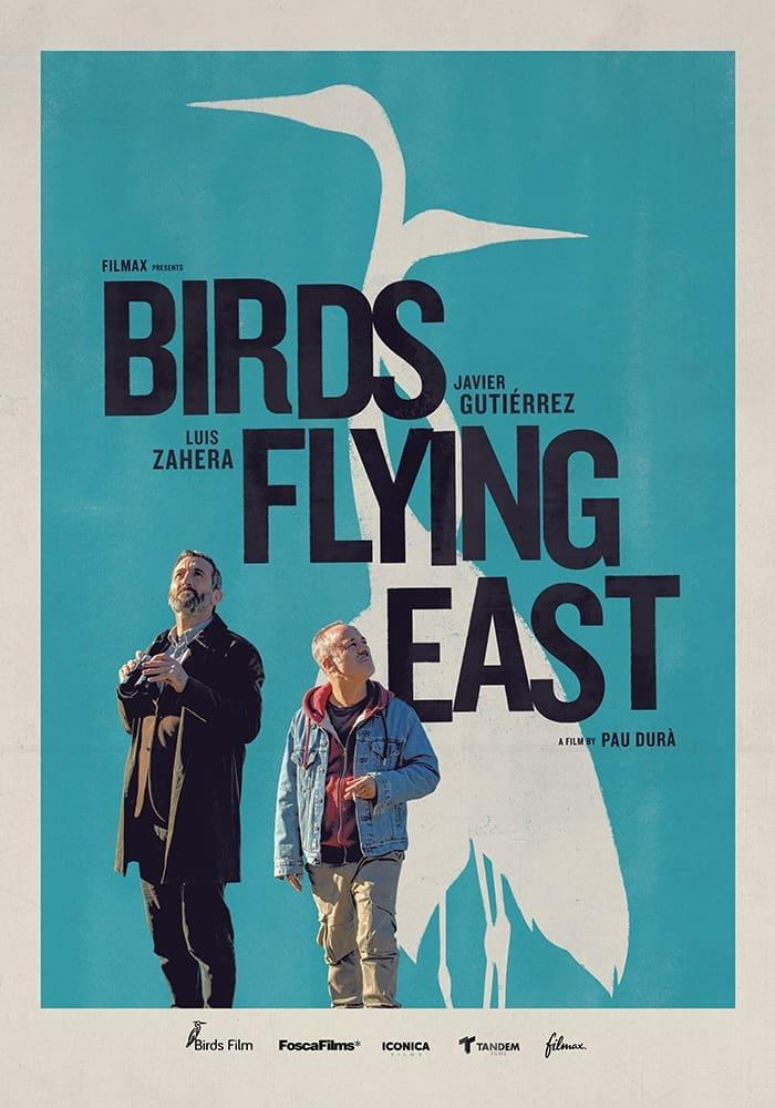 Cartel de la pelicula los pajaros la conferencia de los p jaros