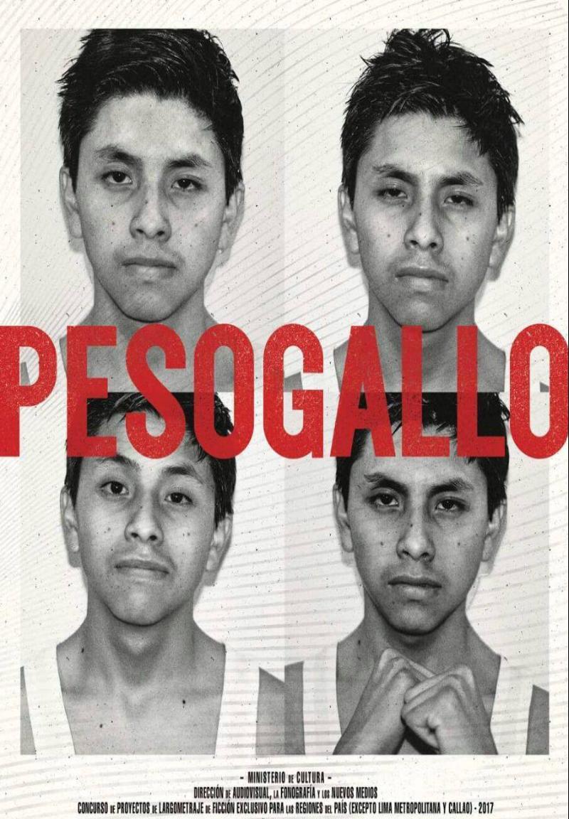 Image gallery for Peso gallo FilmAffinity
