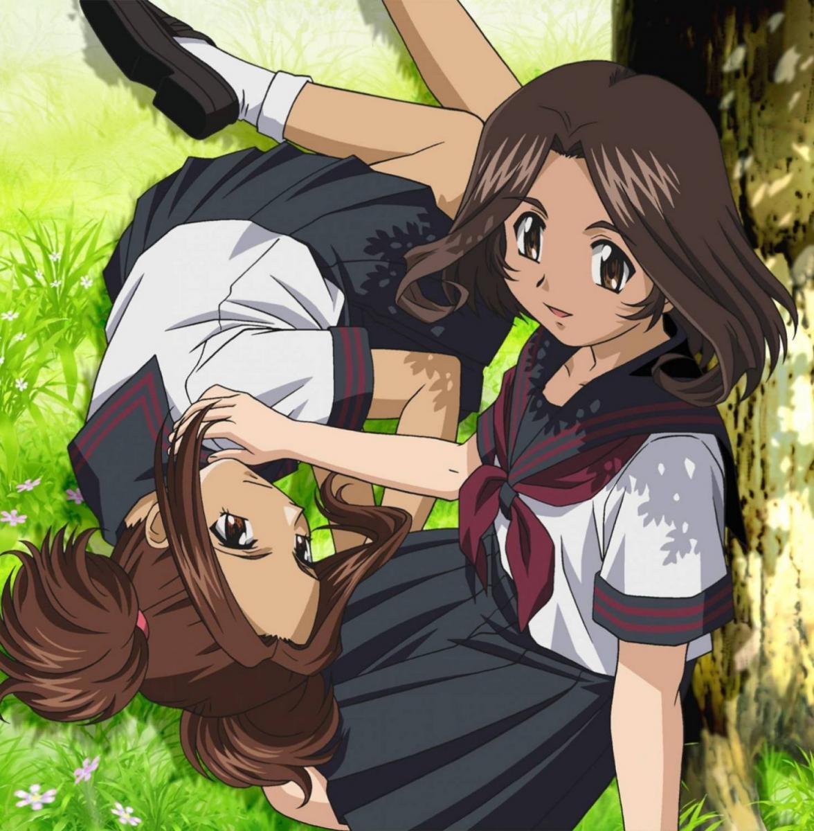 the melody of young girl's heart 完全版3本
