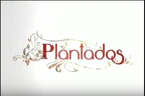 cast of plantados