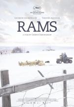 Rams: La historia de dos hermanos y ocho ovejas 