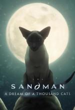 Sandman: Un sueño de mil gatos (TV) (C)