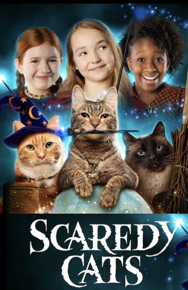 Scaredy Cat (2020) - Filmaffinity