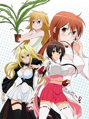 where to watch sekirei