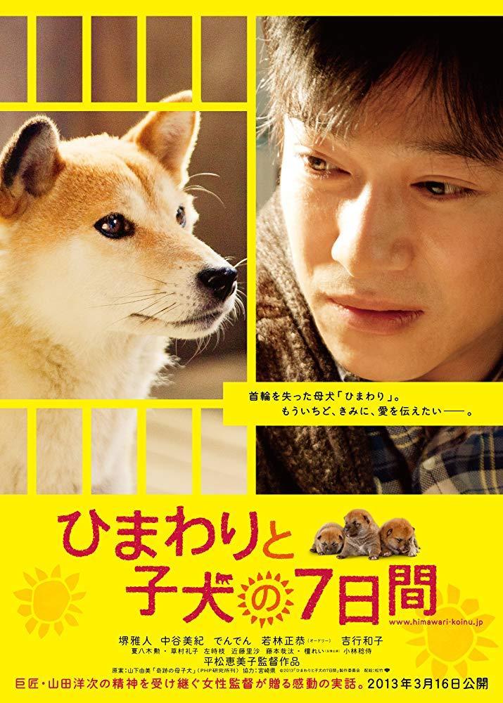 Seccion Visual De Seven Days Of Himawari And Her Puppies Filmaffinity