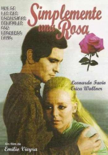 Simplemente una rosa (1971)