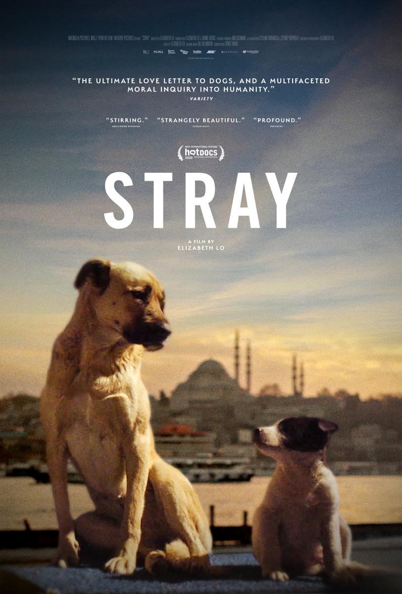 strays dog movie reviews