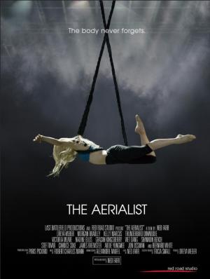 The Aerialist 