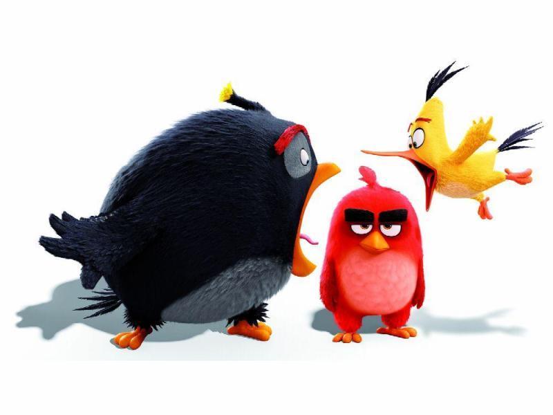 Image gallery for The Angry Birds Movie - FilmAffinity