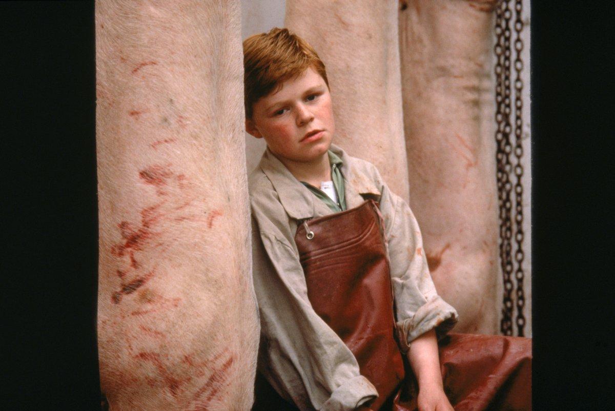 The Butcher Boy (Ireland into Film)