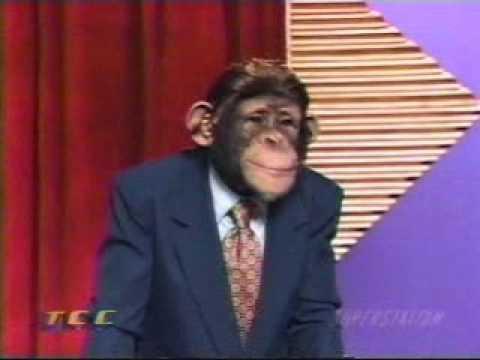 Image gallery for The Chimp Channel (TV Series) (TV Series) - FilmAffinity