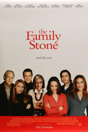 the family movie poster