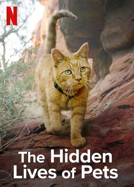 The Hidden Lives Of Pets TV Series 403538971 Large 