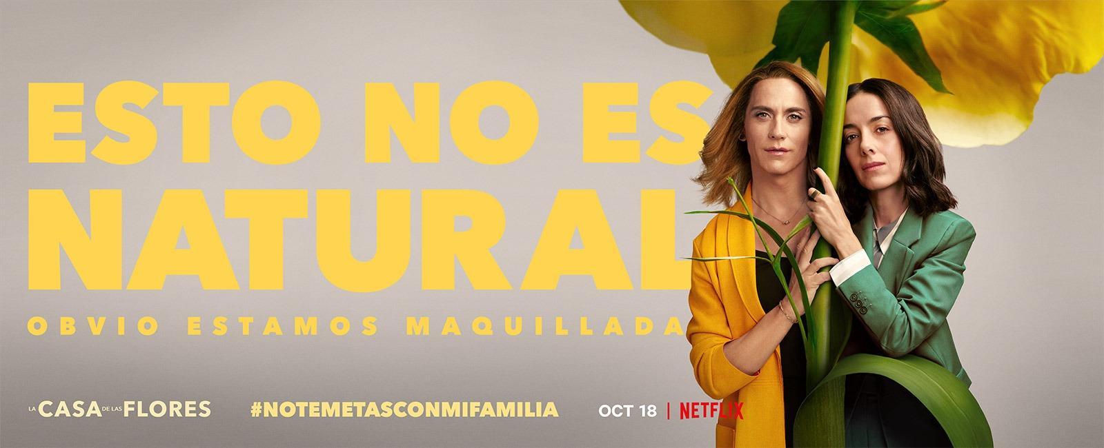 Image gallery for The House of Flowers (La casa de las flores) (TV Series) FilmAffinity