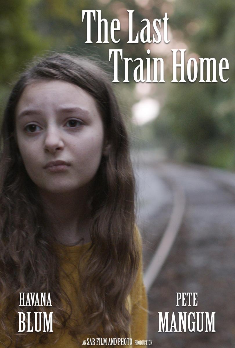 Sección visual de The Last Train Home (C) FilmAffinity
