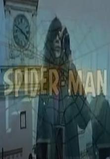 The Ramones: Spider-Man (1995) - Filmaffinity