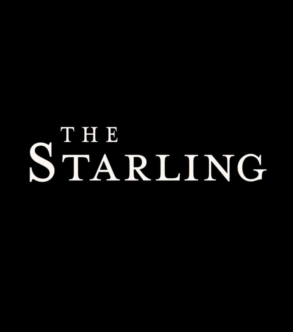 The starling movie