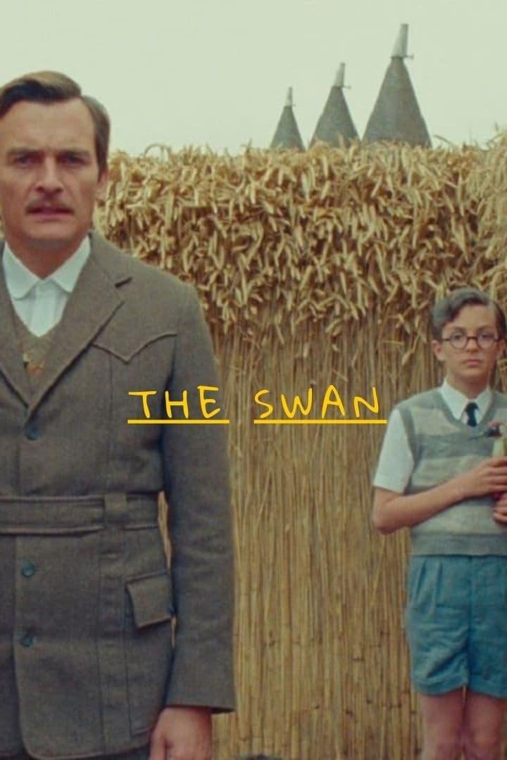 Image gallery for The Swan (S) - FilmAffinity