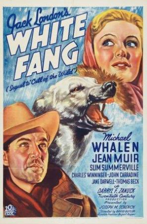 White Fang (1936) - Filmaffinity