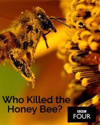 Image gallery for Who Killed the Honey Bee? (TV) - FilmAffinity