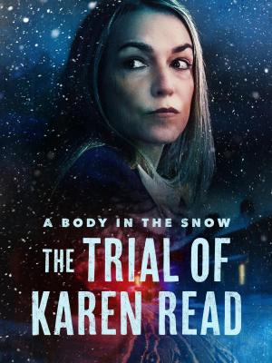Un cuerpo en la nieve: El juicio de Karen Read (Miniserie de TV)
