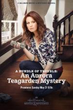 A Bundle of Trouble: An Aurora Teagarden Mystery (TV)