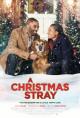 A Christmas Stray (TV)