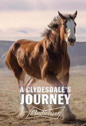A Clydesdale's Journey (S)