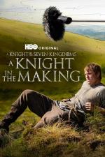 A Knight in the Making (TV Series)