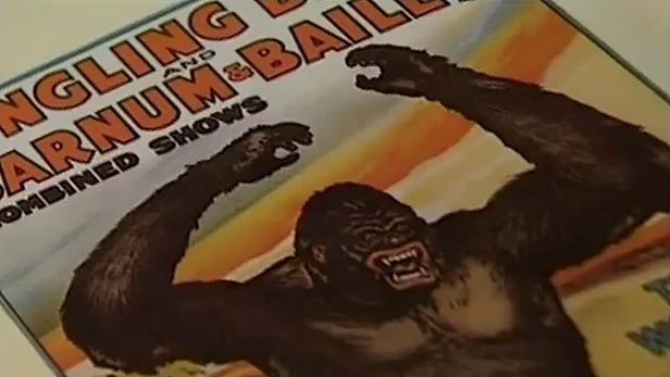 À l'ombre de King Kong (TV) (TV)