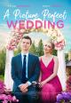A Picture Perfect Wedding (TV)