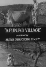 A Punjab Village (C)