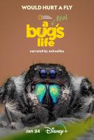 A Real Bug's Life (TV Miniseries) - 