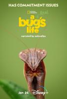 A Real Bug's Life (TV Miniseries) - 