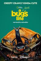 A Real Bug's Life (TV Miniseries) - 