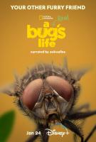 A Real Bug's Life (TV Miniseries) - 