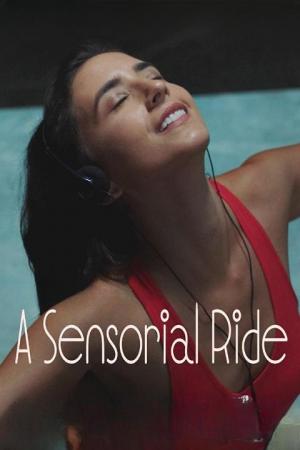 A Sensorial Ride (S)
